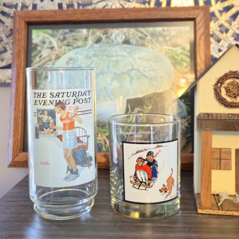 Norman Rockwell Pepsi Glass Set (2) Arby’s #4/6 & #2/4 The Champ Downhill Daring